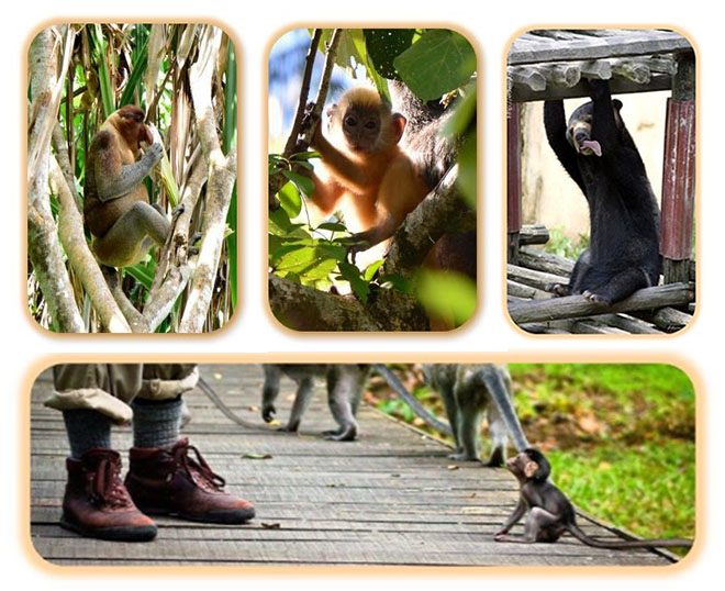 1613533401502038.jpg 1613533401502038.jpg