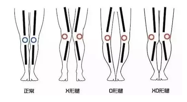 1613544679735616.png 1613544679735616.png