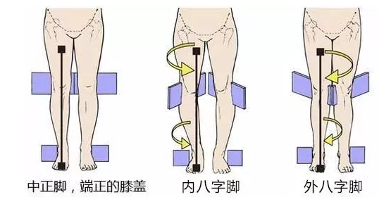 1613544751547925.png 1613544751547925.png