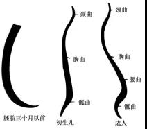 1614048355963101.jpg 微信图片_20210223104515.jpg