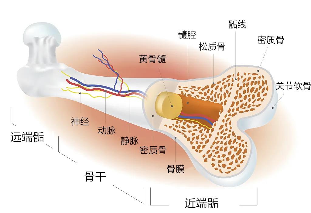 1614048397948932.jpg 1614048397948932.jpg