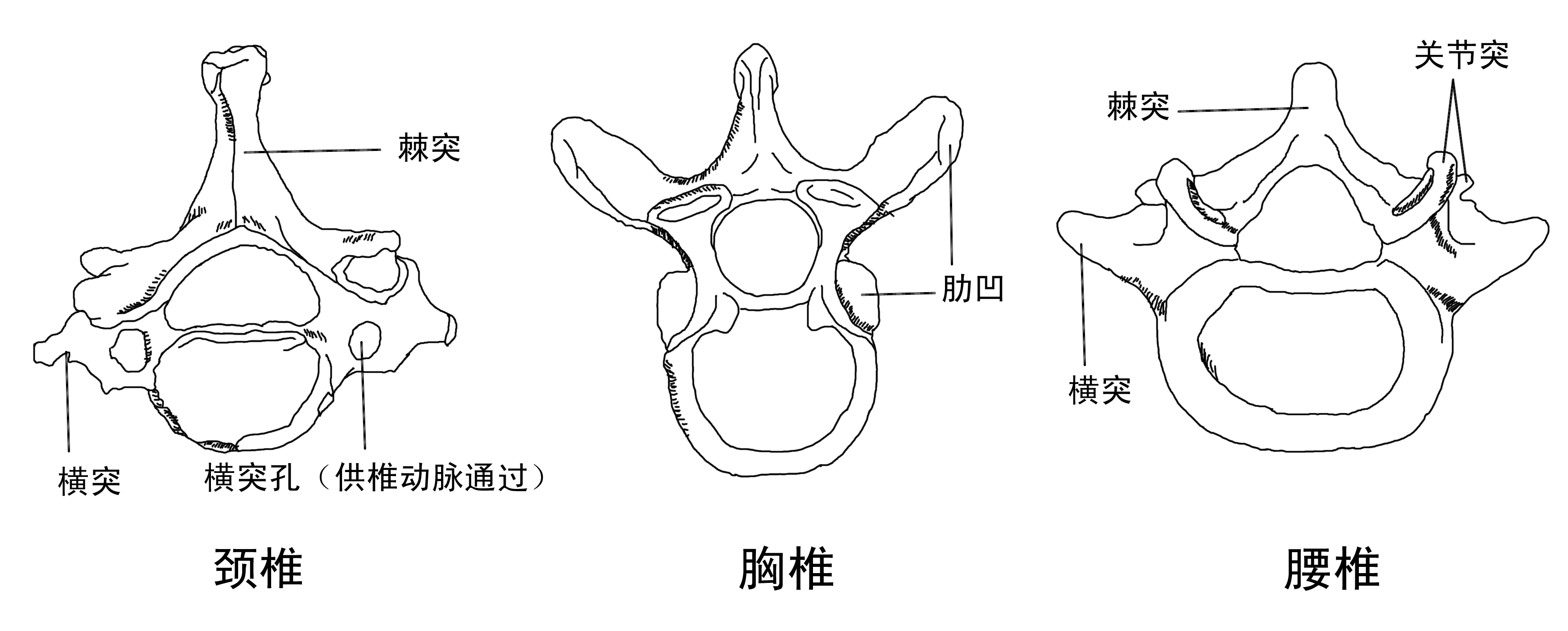 1627548368154041.png 1627548368154041.png