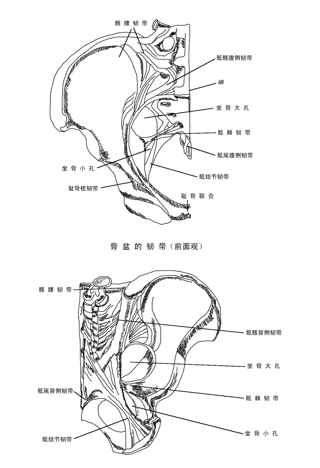 1627548441572031.png 1627548441572031.png